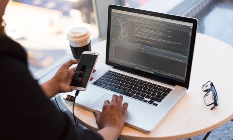 Freelance WordPress Plugin Developer