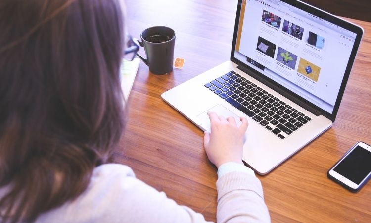 Freelance WordPress Developer India